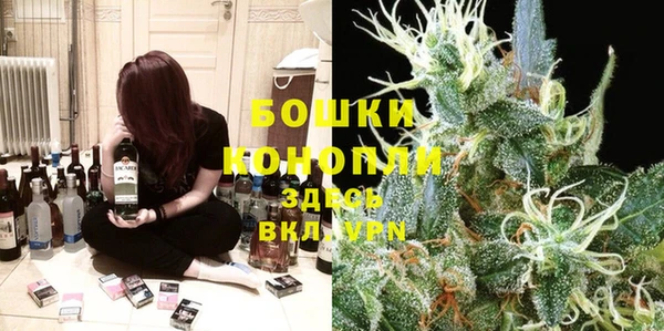 соль ск Новодвинск