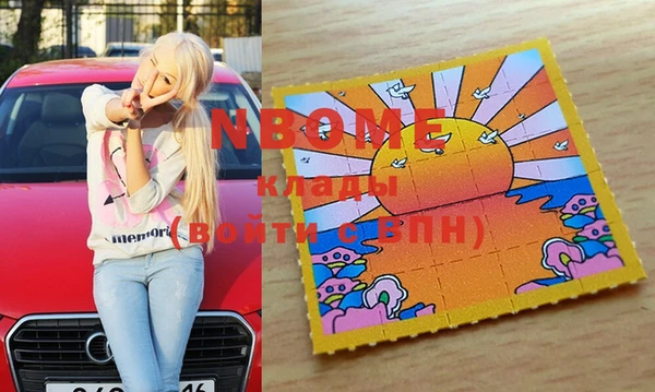 соль ск Новодвинск