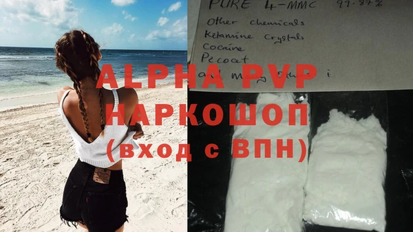 соль ск Новодвинск