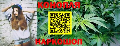 сатива Волжск