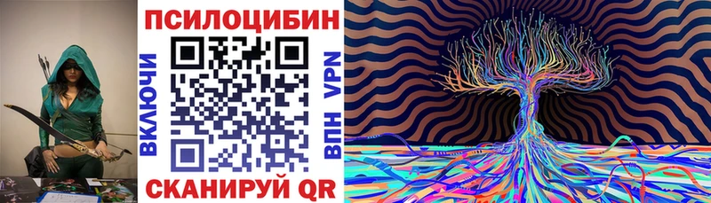 как найти наркотики  Ижевск  Псилоцибиновые грибы мицелий 