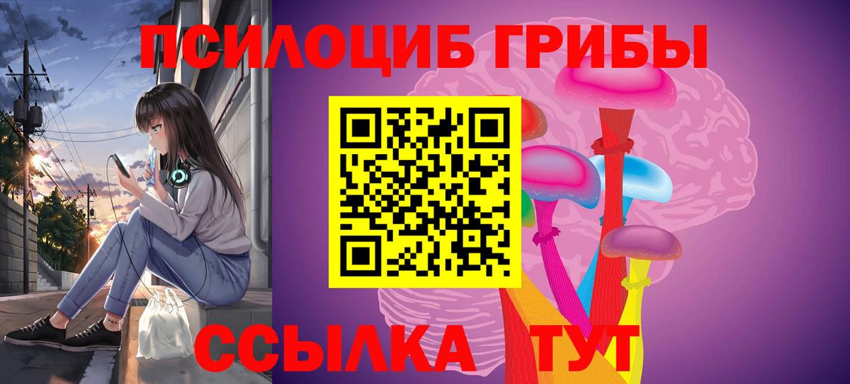 Псилоцибиновые грибы Psilocybine cubensis  Ижевск 