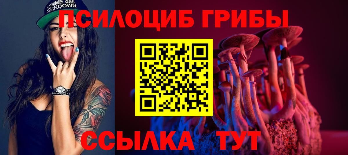 Псилоцибиновые грибы Ижевск