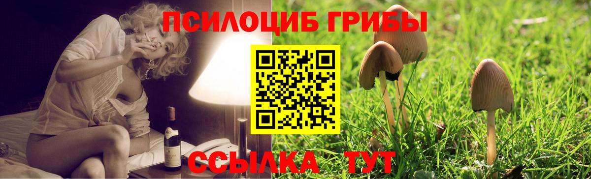 Ижевск  Галлюциногенные грибы мухоморы  Псилоцибиновые грибы мухоморы  Вход с VPN 